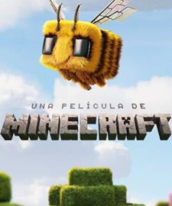 UNA PELICULA DE MINICRAFT (2D)