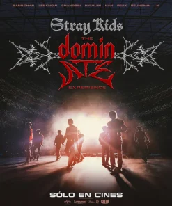 Stray Kids: The dominATE Experience