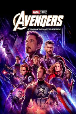 AVENGERS ENDGAME BONUS 2D